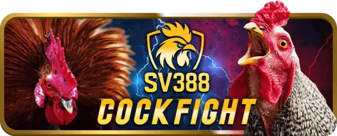 Banner kêu gọi hành động cuối cùng của V7Bet